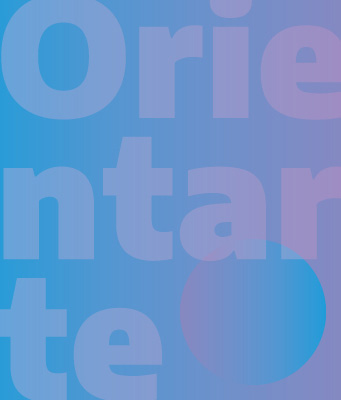 widget image